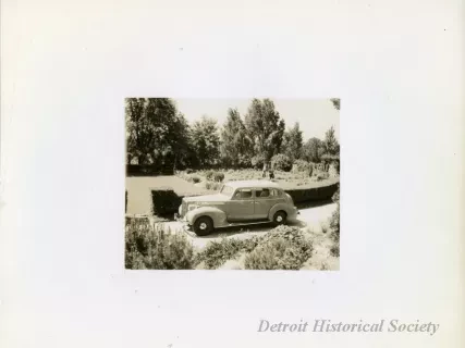 Print, Photographic