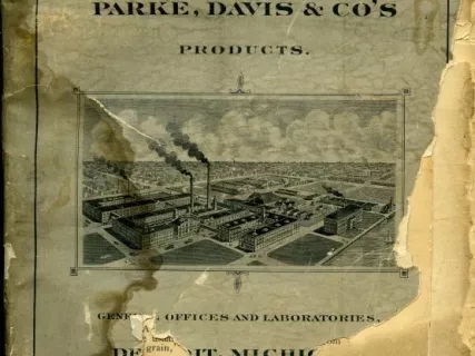 Catalog