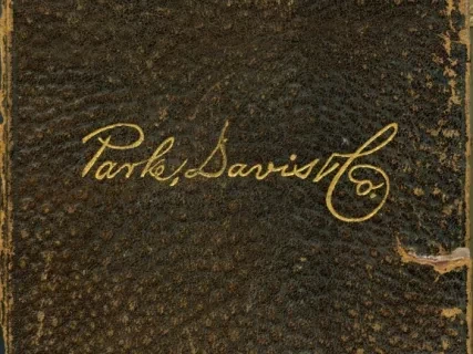 Catalog