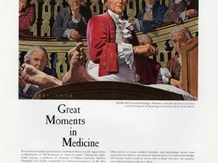 Advertisement