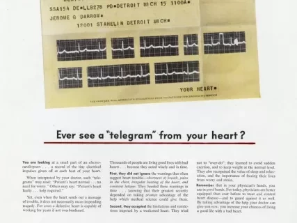 Advertisement