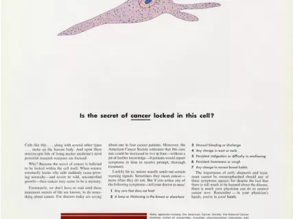 Advertisement