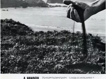 Advertisement