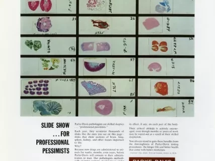 Advertisement