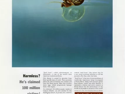 Advertisement