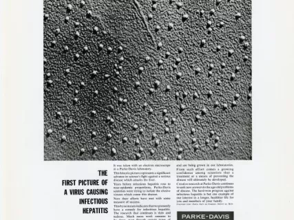 Advertisement