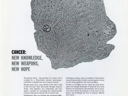 Advertisement