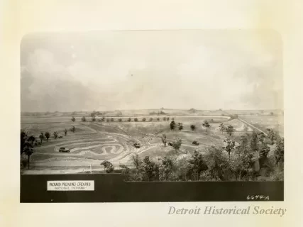 Print, Photographic