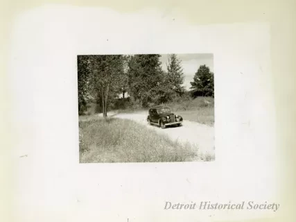 Print, Photographic