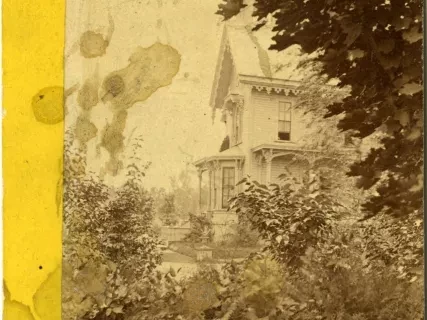 Stereograph