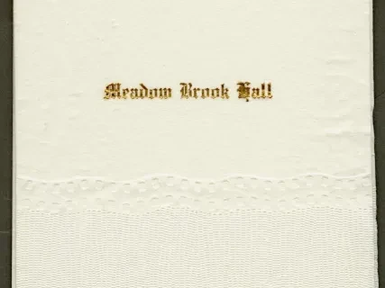 Napkin