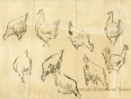 Drawing