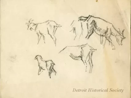 Drawing