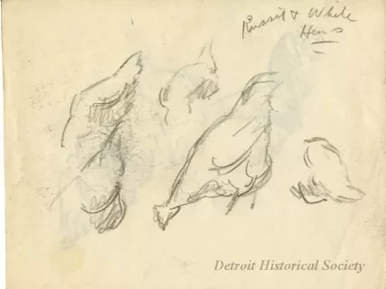 Drawing