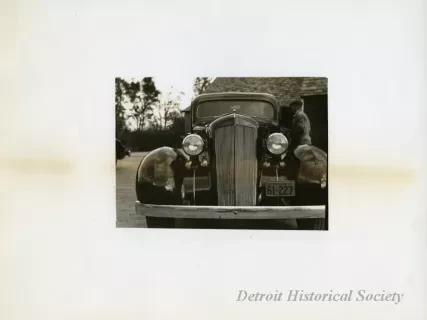 Print, Photographic