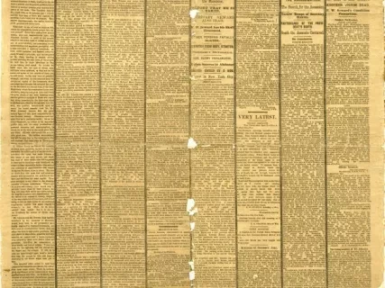 Newspaper - Detroit Tribune, Vol. XXIX, No. 234