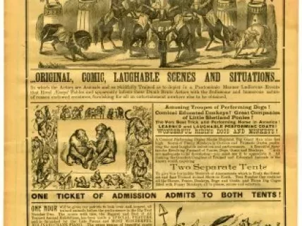 Advertisement