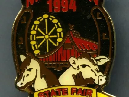 Pin, Promotional