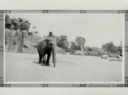 Print, Photographic