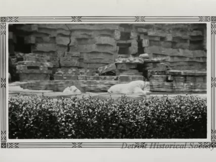 Print, Photographic