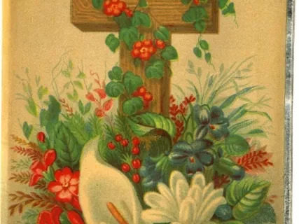 Card, Trade