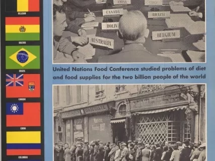 Poster - We Are United Nations - Food Is A Big Problem