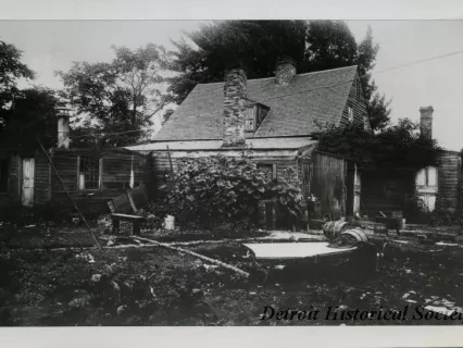 Print, Photographic