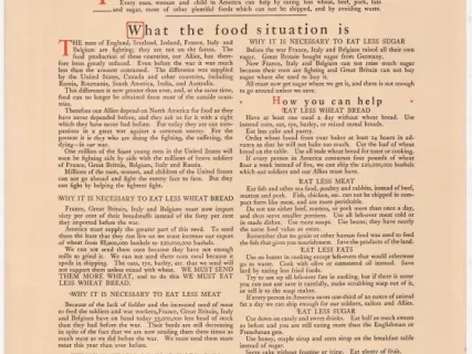 Poster - Why is it necessary to eat less Meat and less Wheat Bread?