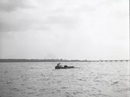 Negative, Film