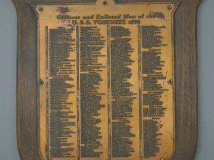 Plaque