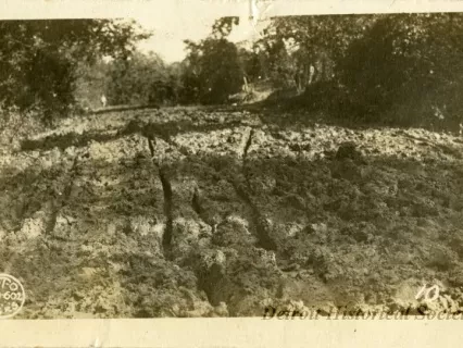 Postcard, Picture