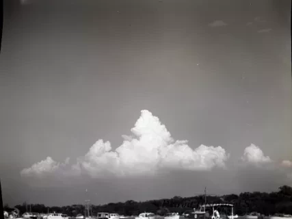 Negative, Film
