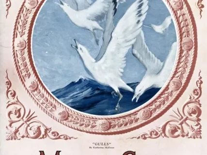 Magazine - The Main Sheet