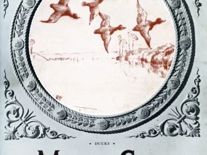 Magazine - The Main Sheet