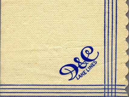 Napkin