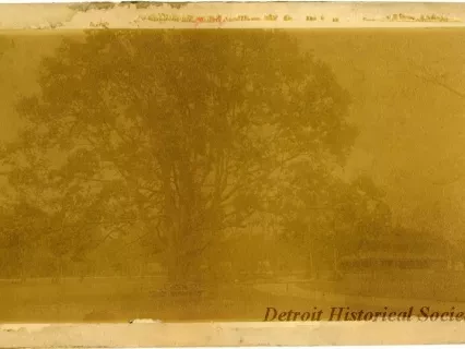 Photograph, Cabinet
