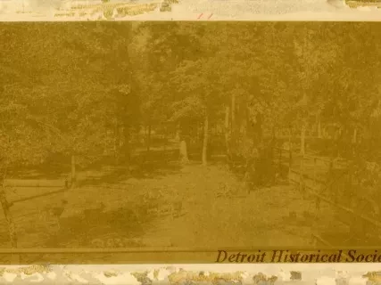 Photograph, Cabinet
