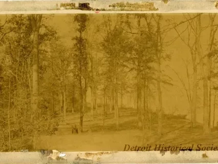 Photograph, Cabinet