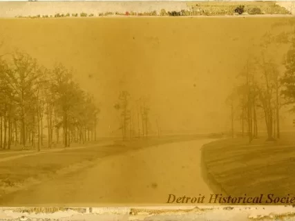Photograph, Cabinet