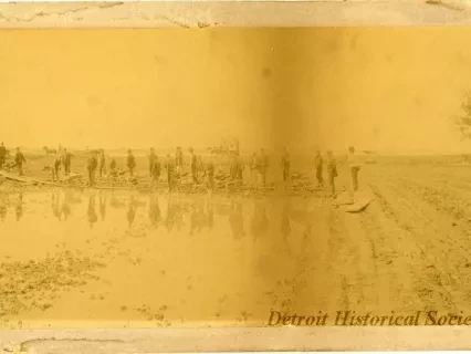 Photograph, Cabinet