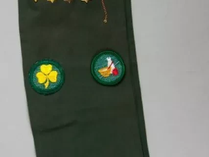 Sash