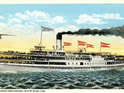 Postcard - Steamer Greyhound, White Star Line