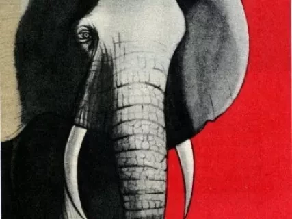 Brochure - Detroit Zoo