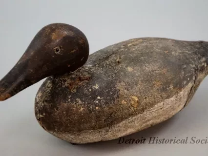 Decoy