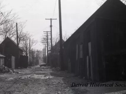 Negative, Roll Film