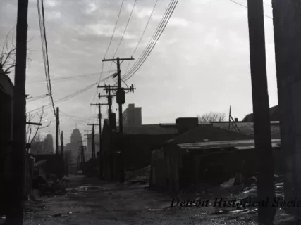 Negative, Roll Film