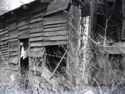 Negative, Roll Film