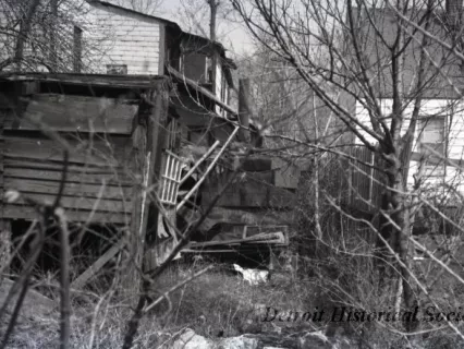 Negative, Roll Film