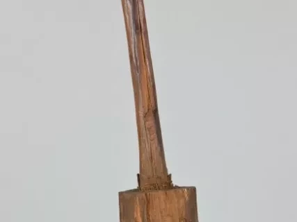 Maul