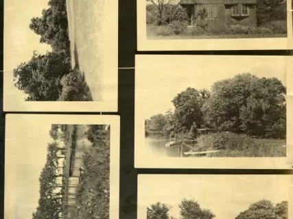 Print, Photographic